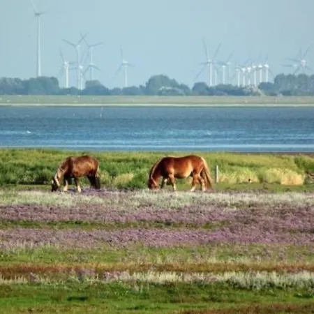 3 Im Haus Wattenblick Apartment